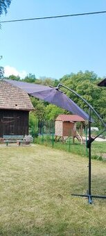 Záhradný slnecnik
