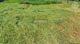 HALO reality - Predaj, pozemok pre rodinný dom 1856 m2 Boldo