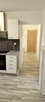 Veľký 2 izbový byt