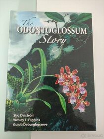 The Odontoglossum story