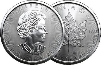 1 oz strieborná minca Maple Leaf – Royal Canadian Mint