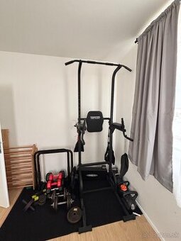 Samostojná hrazda Truesteel