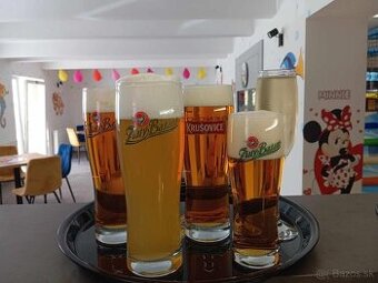 Čašník/ čašníčka