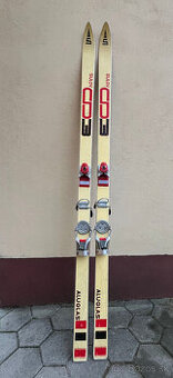 Predám lyže Aluglas