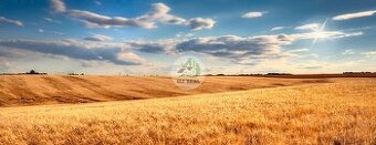 Predaj pozemku – Čakanovce, okres Košice-okolie