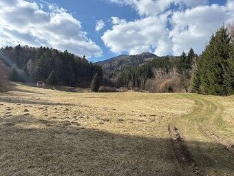 Pozemok nad Lazkami 4228 m2-obec Bystrička