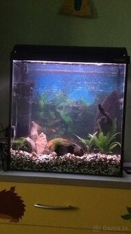 AKVÁRIUM 62,5 L - 1