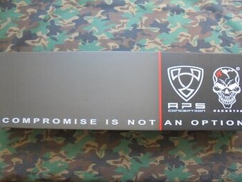 APS ASR R2 Guardian EBB AEG.