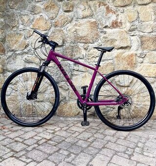 Kellys Phanatic 28” M 2025