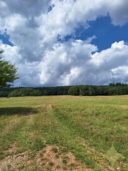 Predaj pozemku v Malej Lehote- Znížená cena - 1