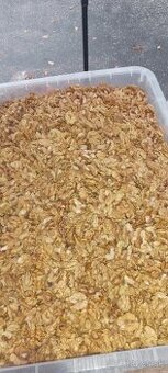 Predam tohtorocne domáce  vlasske lupane orechy