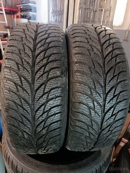 185/55 R15 celoročne