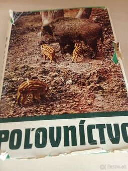 Poľovníctvo