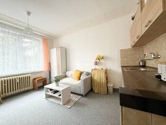 Exkluzívne na predaj Garsónka 21 m2, Žilina - Centrum