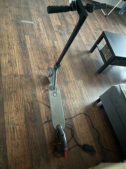 Xiaomi 365