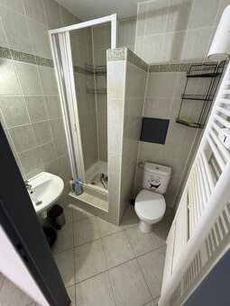 Rezervované Jednoizbový byt na predaj v meste Nováky