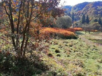 Predaj pozemku v Hodruši-Hámroch - 1