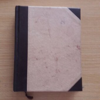 Vnútorná strana vetra alebo román o Here a Leandrovi