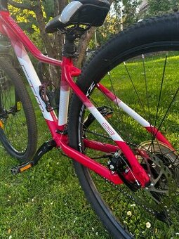 Bicykel CTM