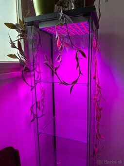Grow light LED vitrina