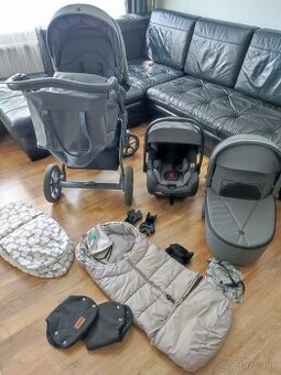 Roan bass next steel grey