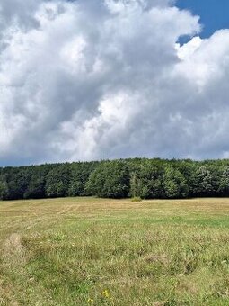Predaj pozemku v Malej Lehote- Znížená cena - 1