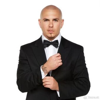pitbull praha vstupenky v dobrom sektore