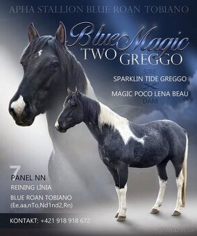 Zrebce Pripúšťanie