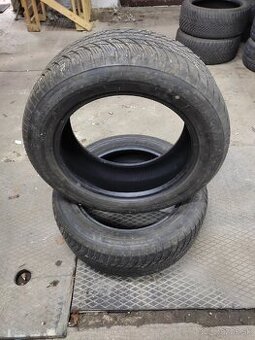 zimne pneu 225/55/R17