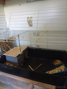 Predám klietku
