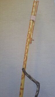 Fujara G