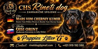 Rotvajler,rottweiler,RTV, šteniatka rottweilera