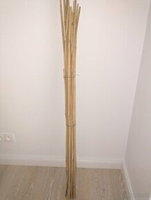 Bambusove tyce - 1