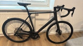 Canyon Endurance CF 8 Ultegra Di2 2024