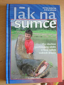 Jak na sumce