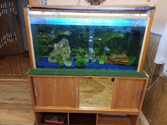 Akvariu