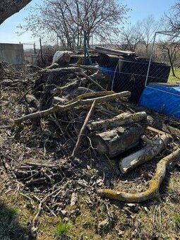 Darujem drevo za odvoz - Paňovce