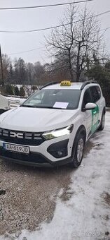 Šofér taxislužby/Bolt
