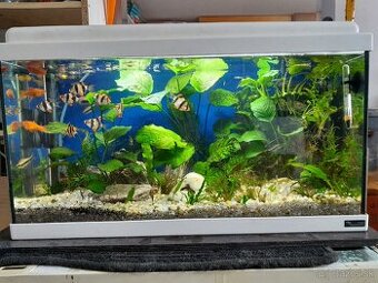 Akvarium 60x30x30