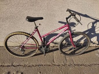 [08]  Dámsky horský bicykel Steel Rider