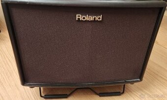 Akusticke gitarove kombo Roland AC - 60