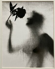 Eva Fuková – Dívka s květinou (1957)