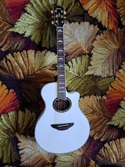 Elektroakustická gitara Yamaha APX1000 pearl
