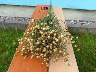 Sušené kvety - Len přírodní.
