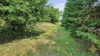 POZEMOK, Malá Čausa, TOP ,,LUKRATÍVNA“ POLOHA/ poz. 408 m2