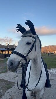 Hľadáme stajníka/stajníčku