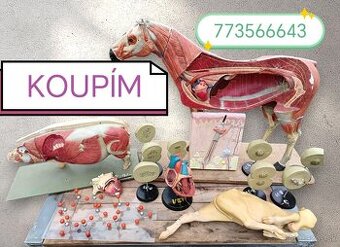 Staré školské pomôcky kúpim