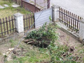 Plot, beton, dielce plotove, biele tehly, ornica