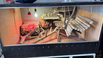 Terarium pre agamy a iné