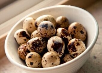 Prepeličie vajíčka